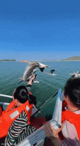 Acid GIFs, June 16 (25 gifs)