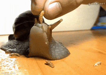Acid GIFs, June 16 (25 gifs)