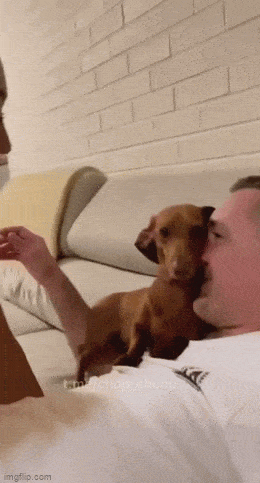 Acid GIFs, June 16 (25 gifs)