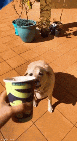 Acid GIFs, June 16 (25 gifs)