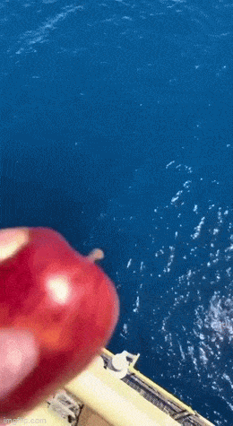 Acid GIFs, June 16 (25 gifs)