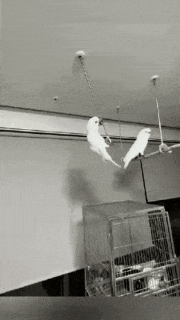 Acid GIFs, June 16 (25 gifs)