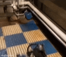Acid GIFs, June 16 (25 gifs)
