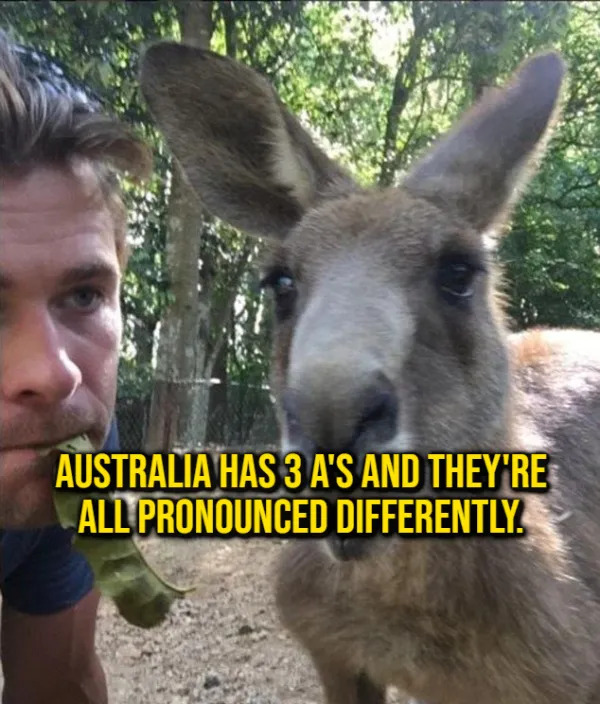 Weird Thoughts (17 pics)