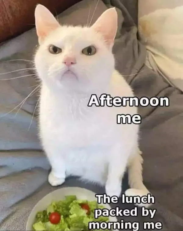 Work Memes (25 pics)