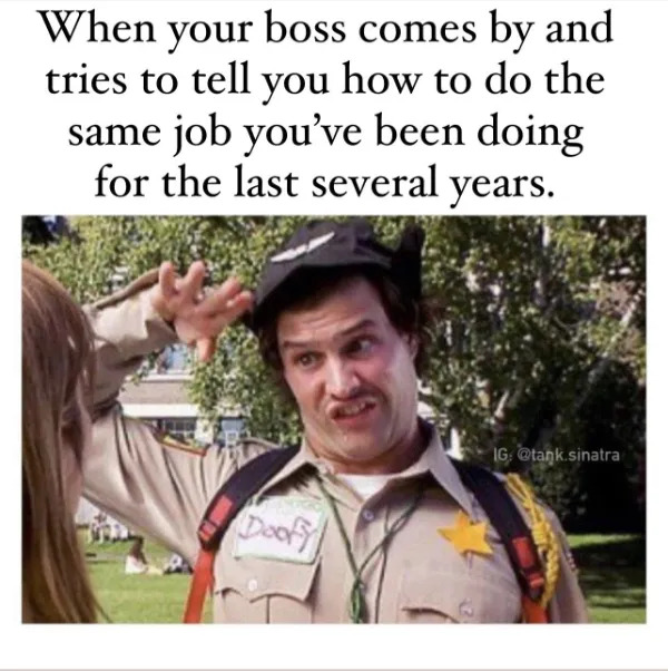 Work Memes (25 pics)