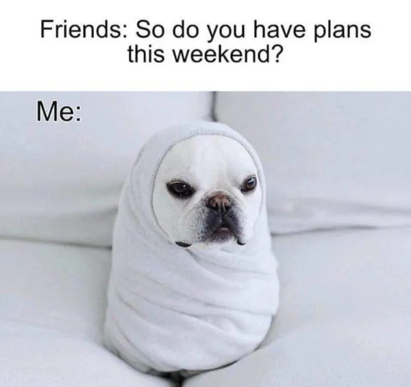 Work Memes (25 pics)