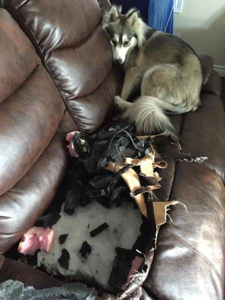 Bad Days Happen (23 pics)
