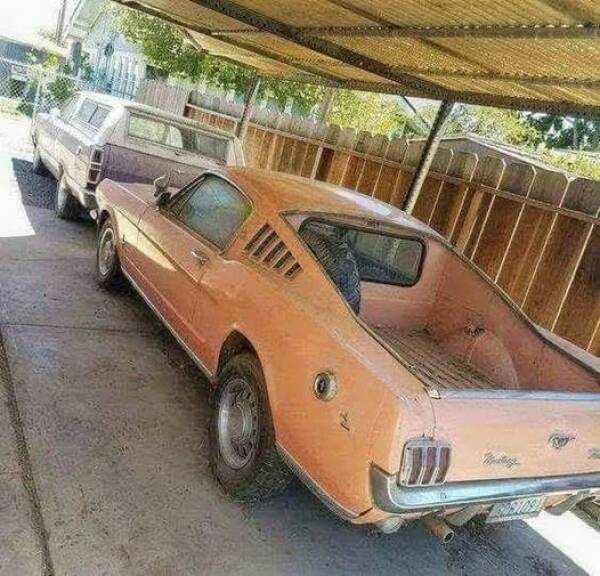 Daily Pictures. Part 1 (74 pics)