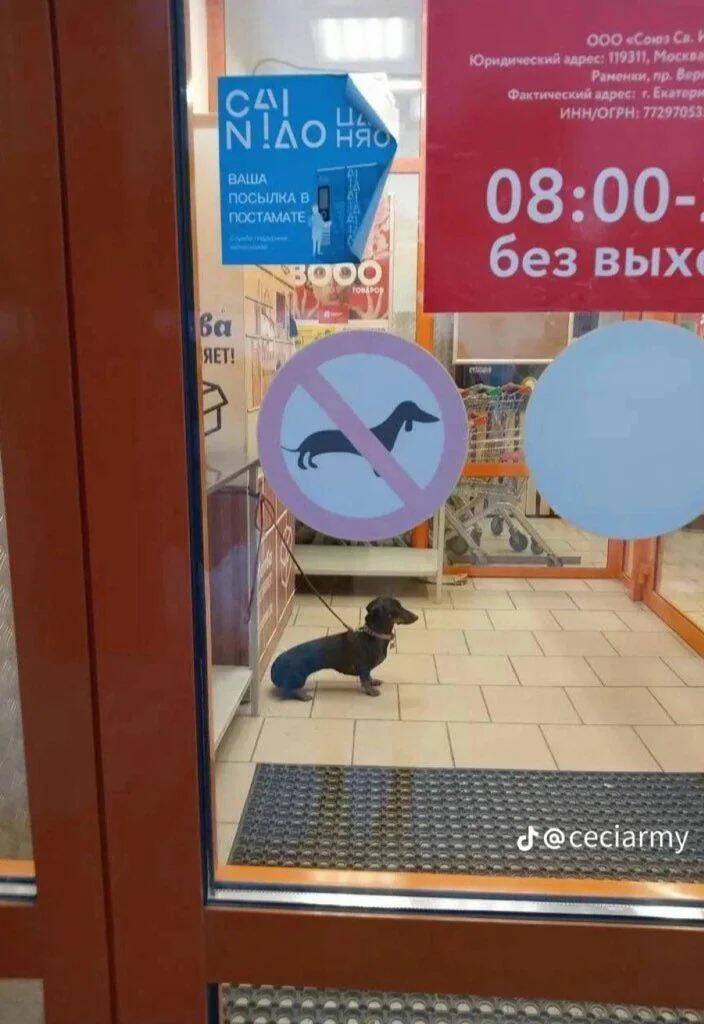 Daily Pictures. Part 1 (74 pics)