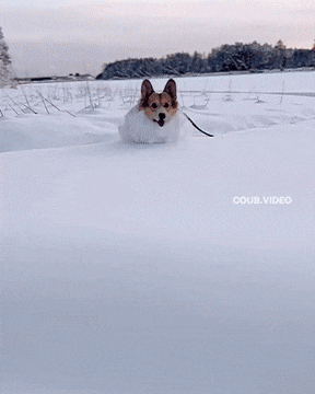 Acid GIFs, June 17 (25 gifs) Acid GIFs, June 17 (25 gifs)