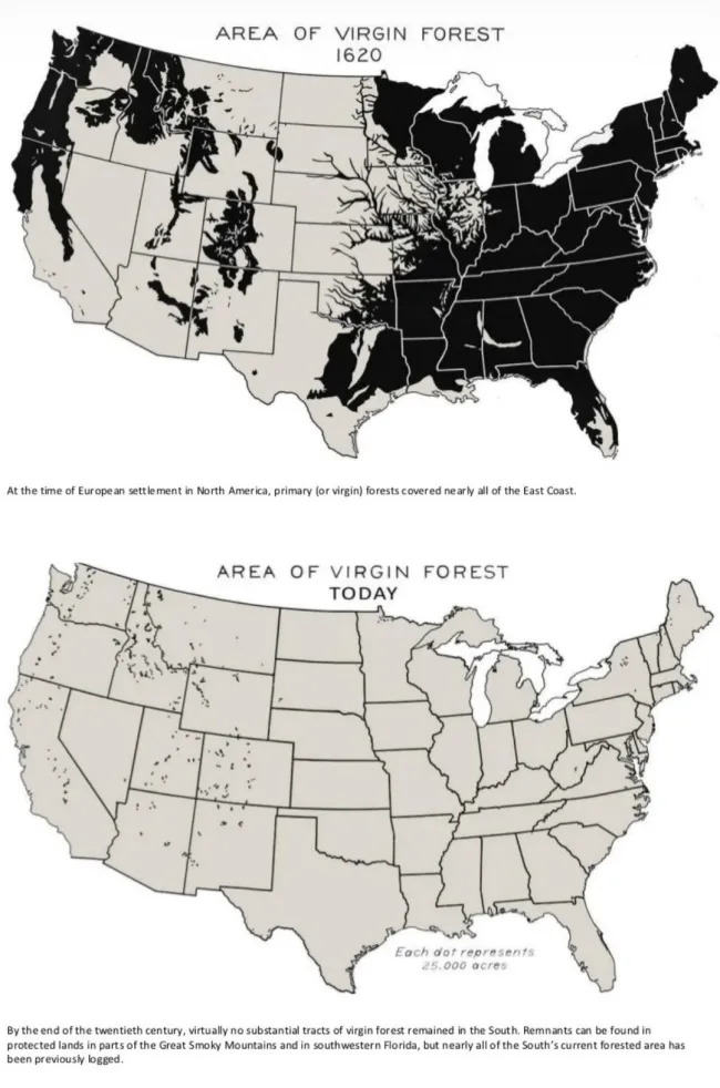 Interesting Maps (14 pics)