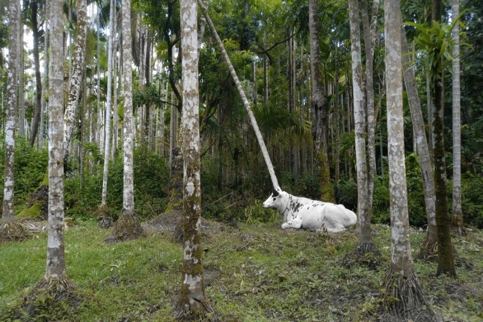 Optical Illusions (23 pics)