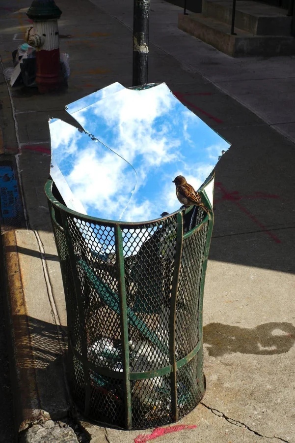 Optical Illusions (23 pics)