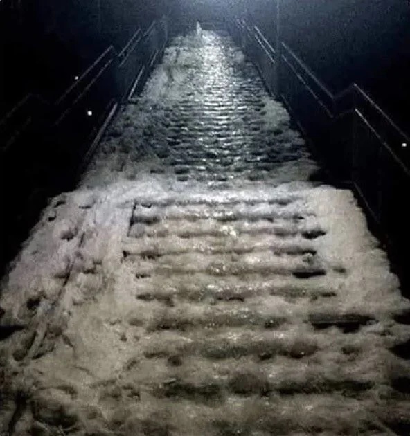 Optical Illusions (23 pics)