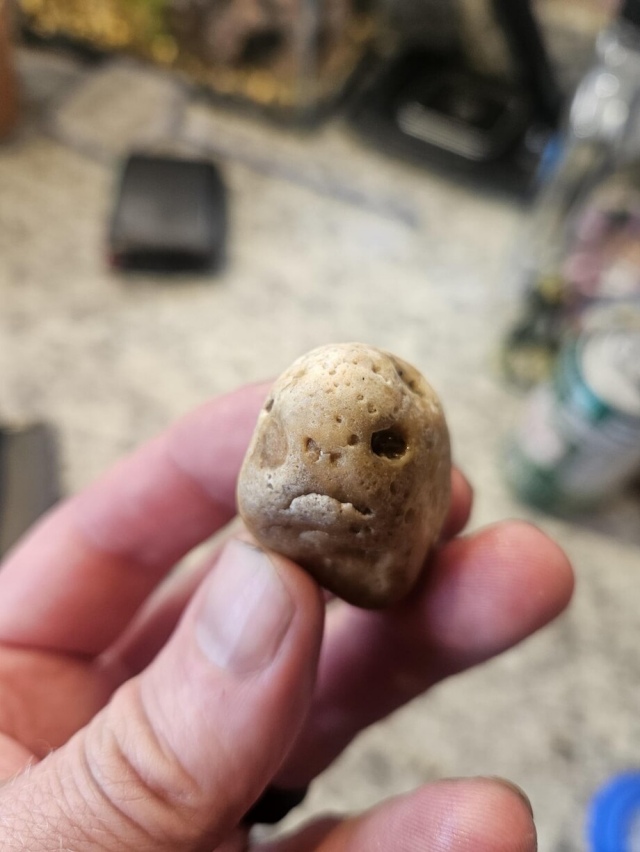 This Is Pareidolia (19 pics) This Is Pareidolia (19 pics)
