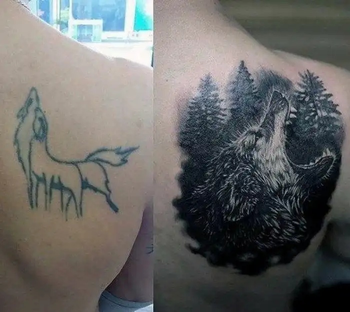 Cool Tattoo Coverup (15 pics)