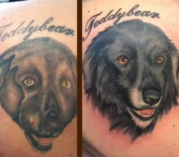Cool Tattoo Coverup (15 pics)
