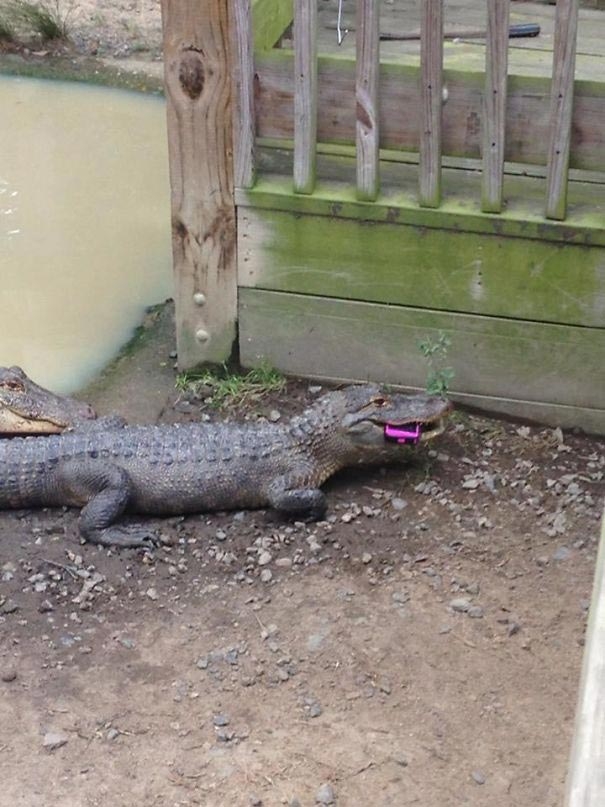 Bad Days Happen (23 pics)