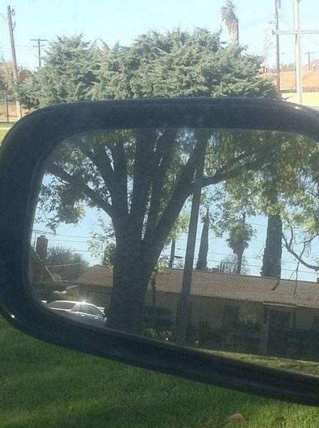 Daily Pictures. Part 1 (77 pics)