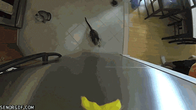 Acid GIFs, June 18 (25 gifs)