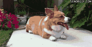 Acid GIFs, June 18 (25 gifs)