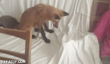 Acid GIFs, June 18 (25 gifs)