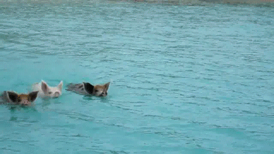 Acid GIFs, June 18 (25 gifs)