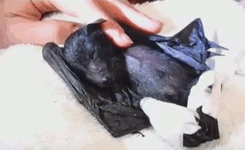 Acid GIFs, June 18 (25 gifs)