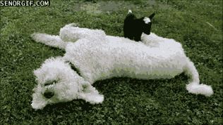 Acid GIFs, June 18 (25 gifs)