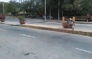 Acid GIFs, June 18 (25 gifs)