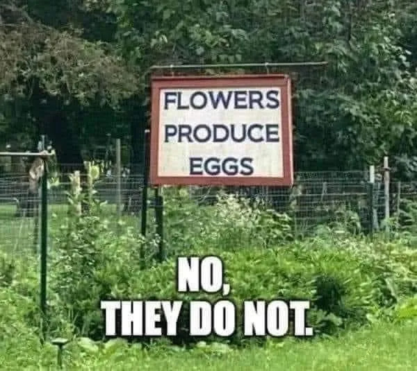 Random Memes (21 pics) Random Memes (21 pics)