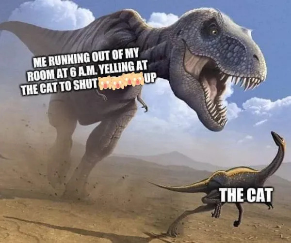 Random Memes (21 pics)