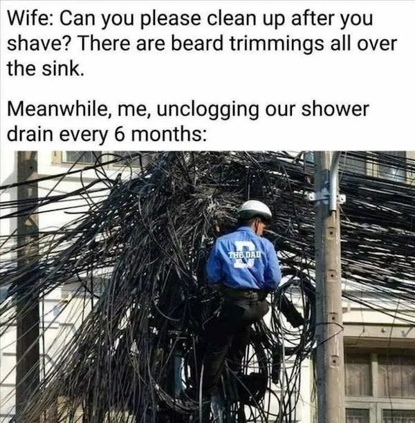 Truthful Memes (26 pics)