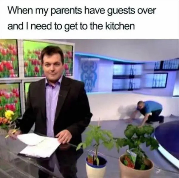 Truthful Memes (26 pics)