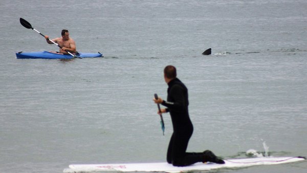 Bad Days Happen (23 pics)