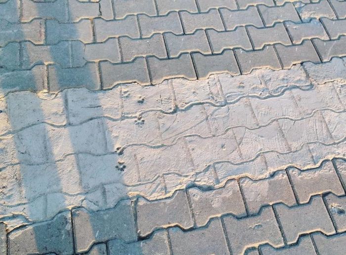 Failed Constructions (23 pics) Failed Constructions (23 pics)