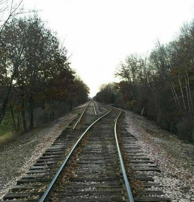Daily Pictures. Part 1 (72 pics)