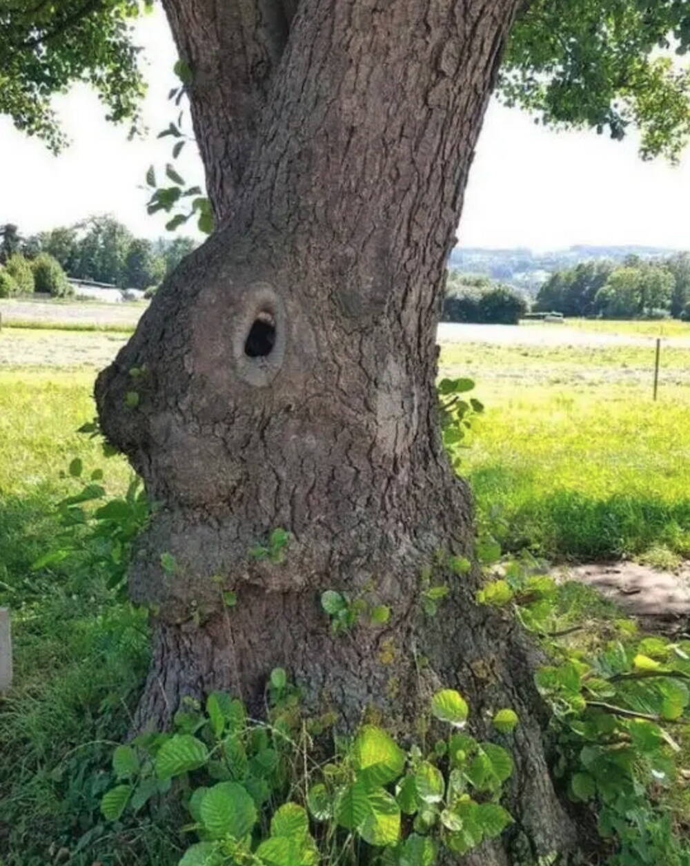 Daily Pictures. Part 1 (72 pics)