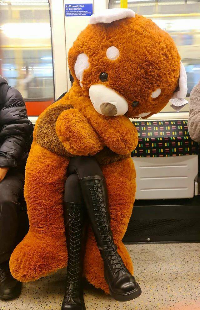 Daily Pictures. Part 1 (72 pics)