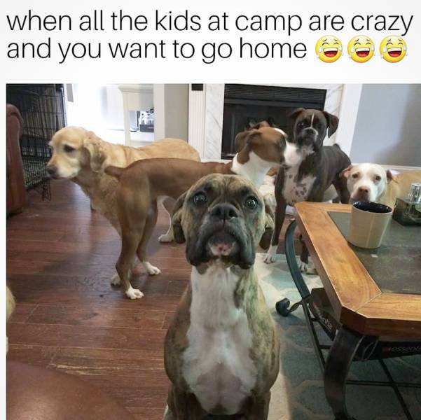 Daily Pictures. Part 2 (71 pics)