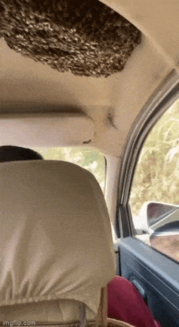 Acid GIFs, June 19 (25 gifs)