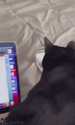 Acid GIFs, June 19 (25 gifs)
