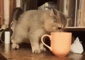 Acid GIFs, June 19 (25 gifs)