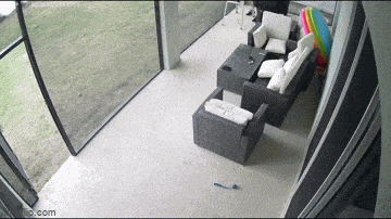 Acid GIFs, June 19 (25 gifs)