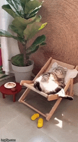 Acid GIFs, June 19 (25 gifs)