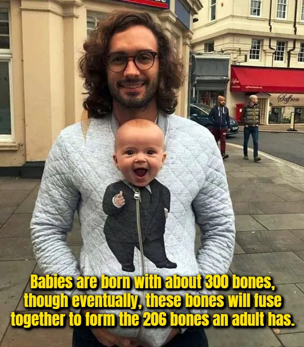 Interesting Facts (17 pics)