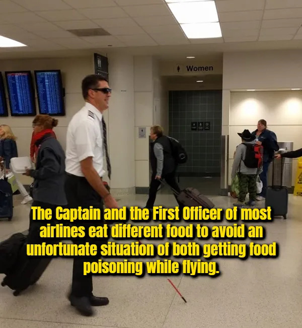 Interesting Facts (17 pics)
