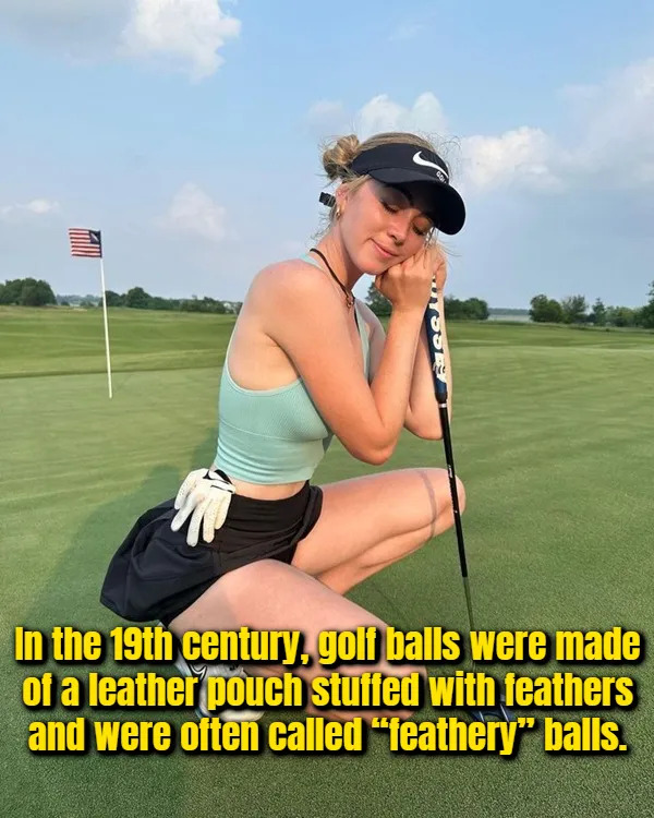 Interesting Facts (17 pics)