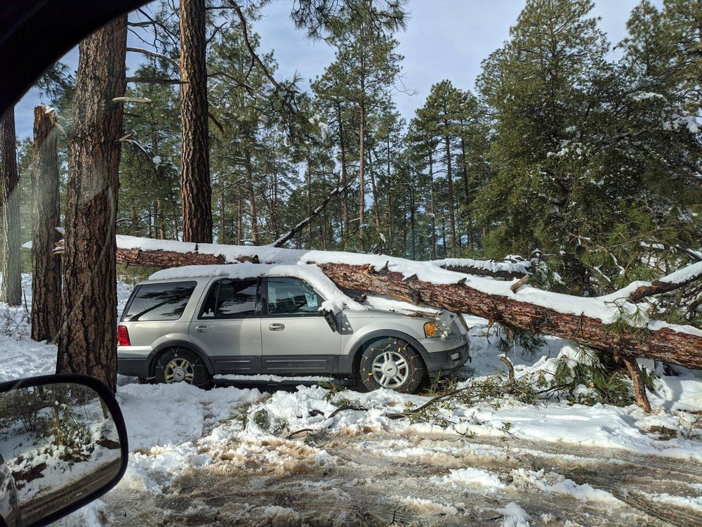 Bad Days Happen (25 pics)
